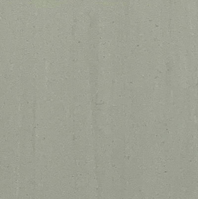 Homogeneous flooring Botuna BTN-1109